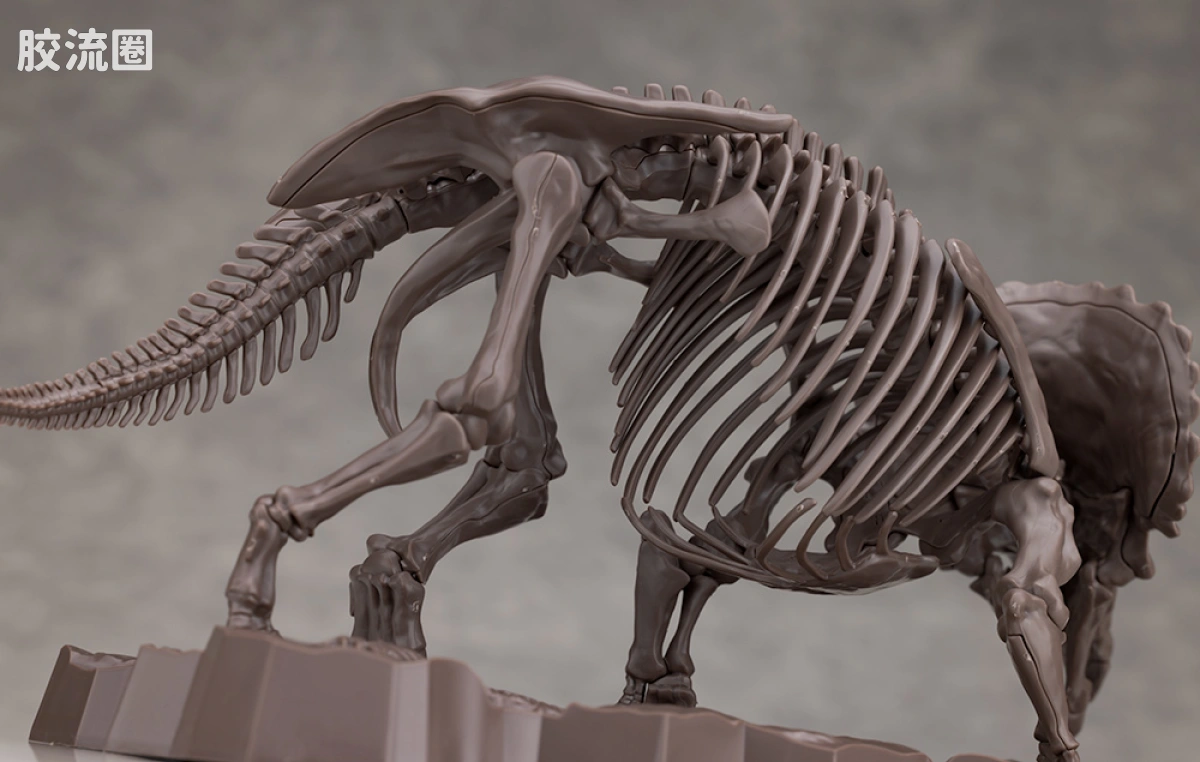 万代综合拼装模型系列 Imaginary Skeleton系列 三角龙 - 图片
